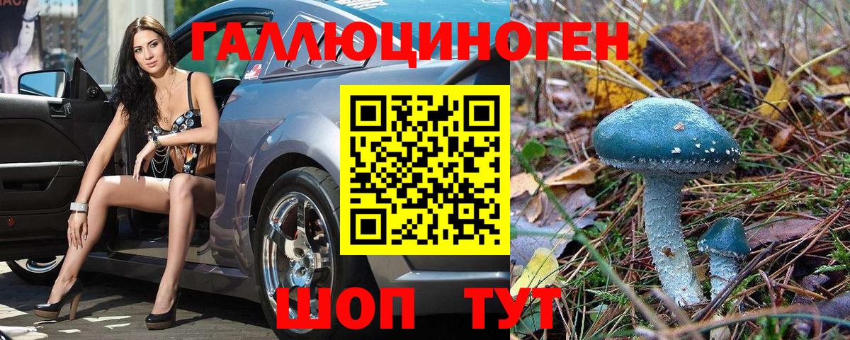 Галлюциногенные грибы прущие грибы Усть-Джегута