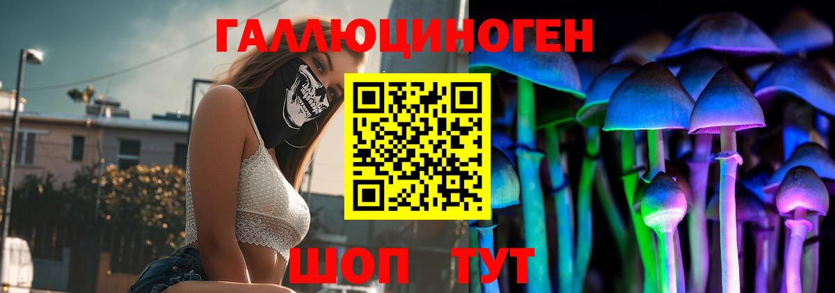 Усть-Джегута  Галлюциногенные грибы ЛСД  Псилоцибиновые грибы Psilocybe  Вход с VPN 